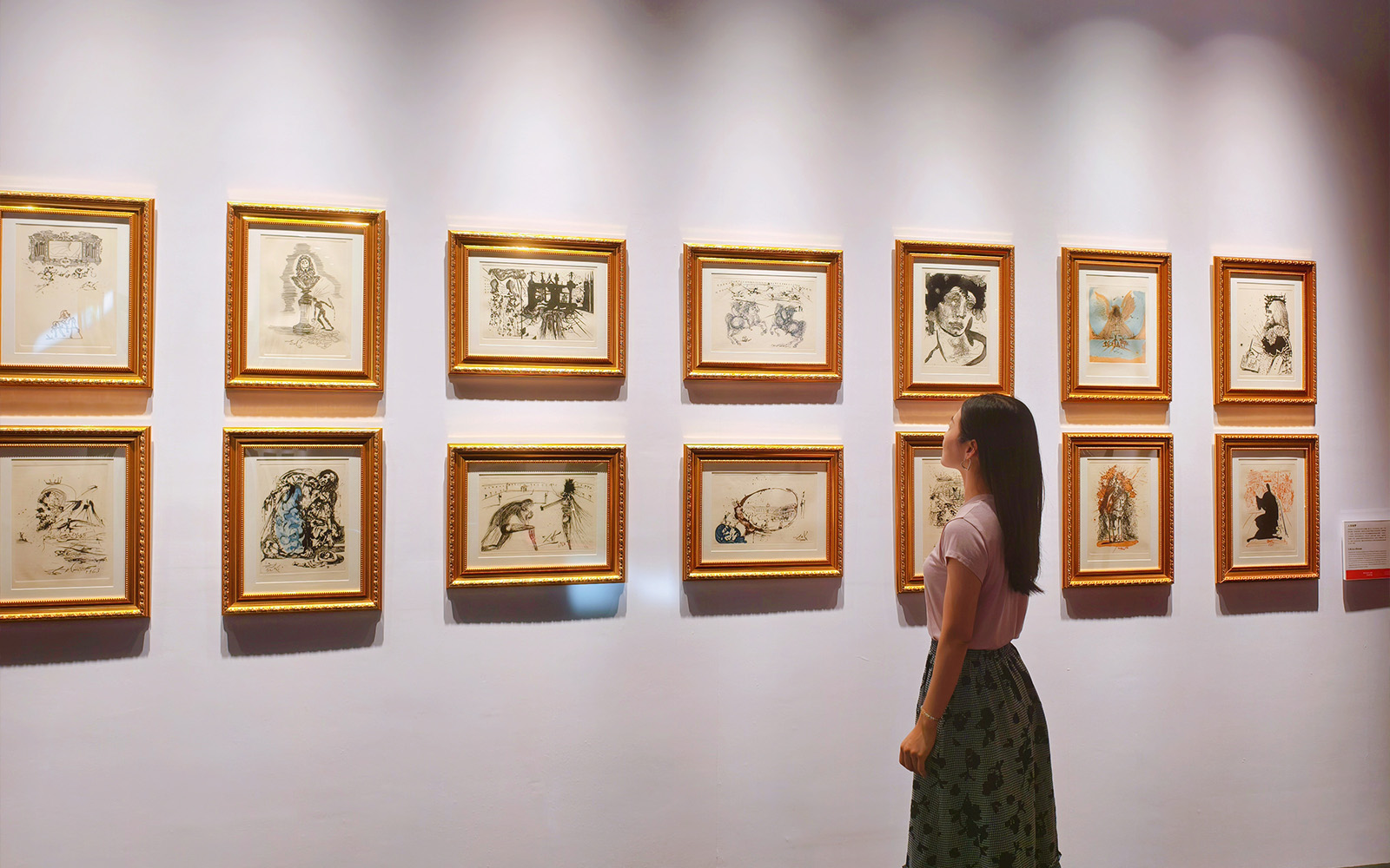 Salvador Dalí Exhibition