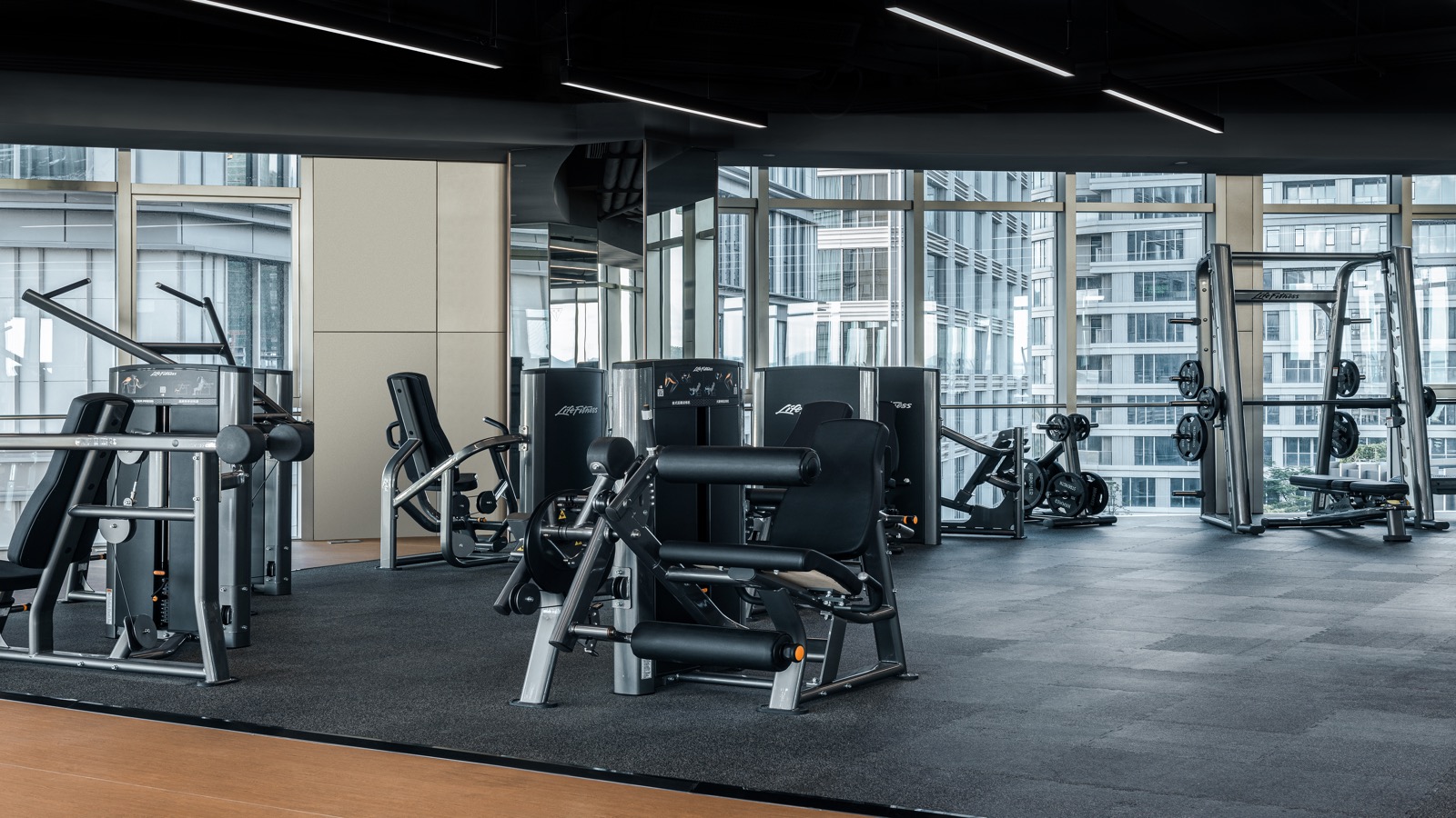 Life Fitness Panoramic Gym