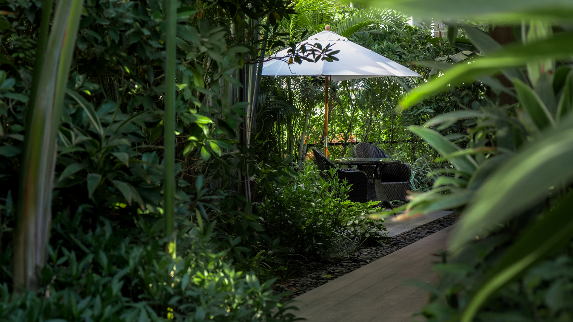 Serensia Woods Premises
